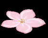 Lt Pink Falling Flowers