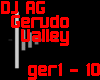 Gerudo Valley