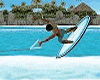 Water Ski anima