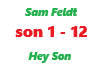 Sam Feldt / Hey Son