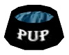 Pup Water Dish