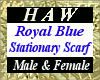 Royal Blue Scarf