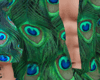 P. Tropical Peacock