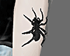 ð° Spider M