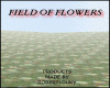 [RAW] Field of flowers