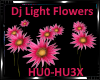 *Dj Light Flowers