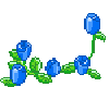 Animated Blue Roses