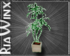 GV Tall Potted Plant