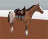 ~Zaa's West horse/sound