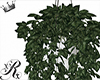 xRx Noa Plant Decor