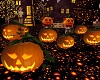 BC BEL PUMPKIN FLYING