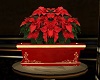 Christmas Poinsettia Pot