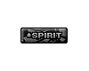 Spirit Tag