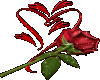 Flower Red Rose Heart