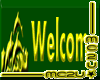Dolphin welcome