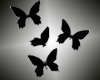 [TP] Black Butterflies