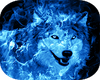 blue wolf kingdom