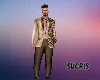 BROWN LUXURY SUIT