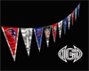 Superbowl 46 Banner