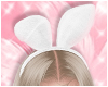 Bunny Headband