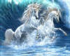 Water unicorns
