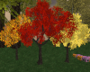 Autumn Trees