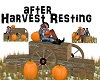 After Harvest Resting