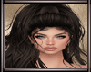 *L* Sydney Dark Brown
