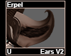 Erpel Ears V2
