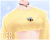 [T] Bee Cropped sweater req