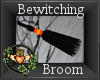 ~QI~ Bewitching Broom