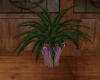 Valspace Potted fern
