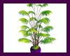 purple planter