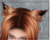 Vera's Orange Ears