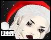 Santa Hat Red