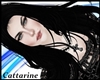 [Cat]Baljinser Black