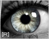 [R] eye: Crystal Grey