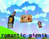 mzg romantic picnic
