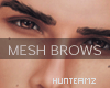 HMZ: Shayne Eyebrows #1