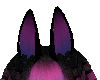 staryy ears