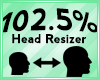 Head Scaler 102.5%
