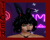 HAPPY EASTER BLACK EARS
