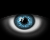 A nice blue/dark eyes