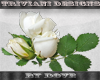 D* White Rose Vine