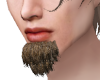 Beards Derivable 02