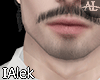 ᴀ| Patrick Moustache