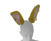 (D) Koda. Ears 1