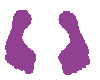footprints purple