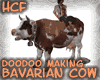 HCF Cow making DooDoo :)