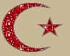 [N] Turkish Flag